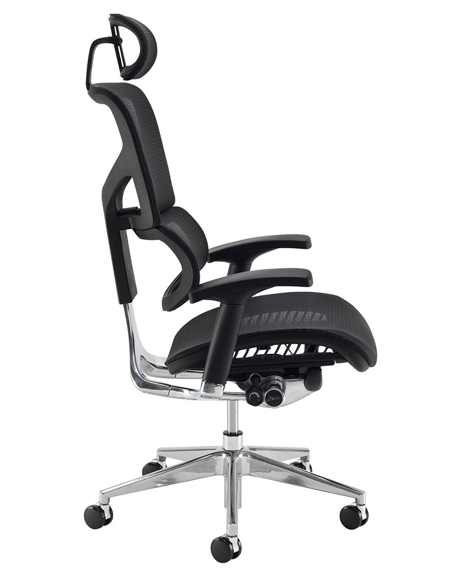 Dynamo ergo clearance